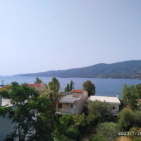 Rigos House At Askeli Beach, Poros Island Villa Poros Town Eksteriør bilde